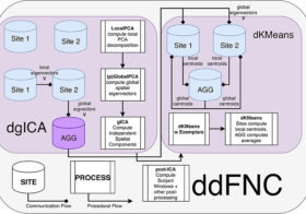 Frontiers | Decentralized Analysis of Brain Imaging Data: Voxel-Based Morphometry and Dynamic Functional Network Connectivity | Frontiers in Neuroinformatics